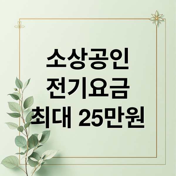 소상공인
전기요금
최대 25만원 (2025년 소상공인 전기요금 특별지원 25만원)