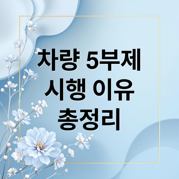 차량 5부제
시행 이유
총정리 (차량 5부제 시행 제외 차량)