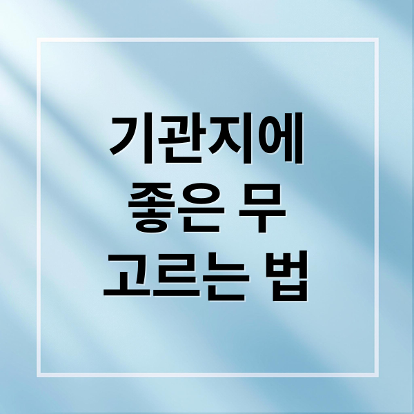 기관지에 좋은 무 고르는 법 (기관지에 좋은 제철무 고르는 법)