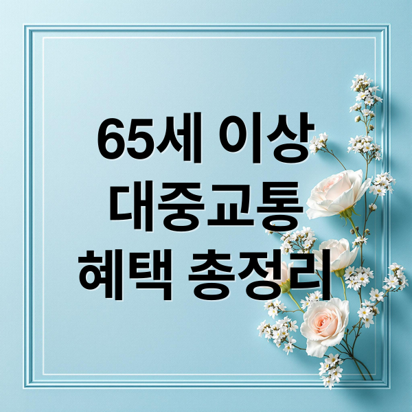 65세 이상대중교통혜택 총정리 (천안시 65세 이상 대중교통 혜택)
