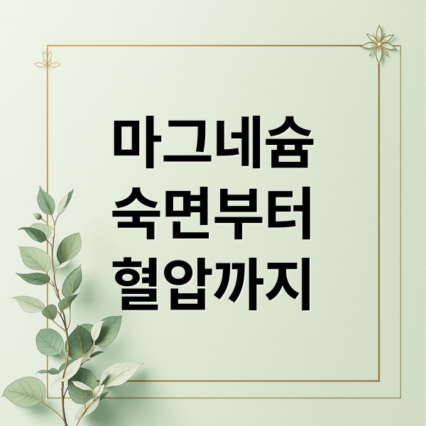 마그네슘
숙면부터
혈압까지 (마그네슘 효능 수면 근육 혈압)