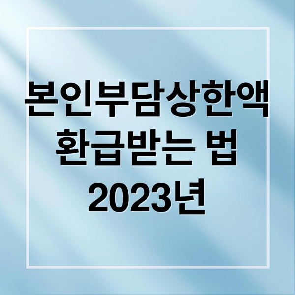 본인부담상한액
환급받는 법
2023년 (국민건강보험공단 본인부담상한액 초과금)