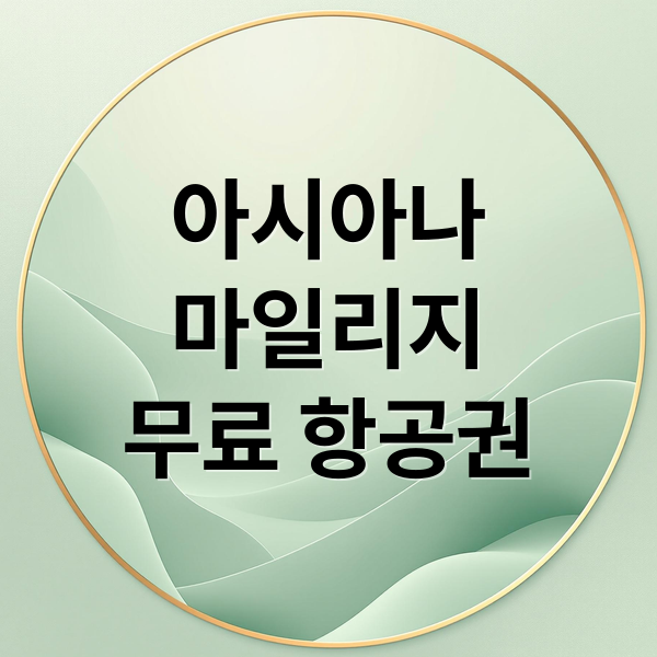 아시아나
마일리지
무료 항공권 (아시아나 마일리지 보너스 항공권 예약)