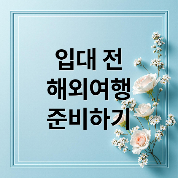 입대 전해외여행준비하기 (군 입대 전 해외여행)