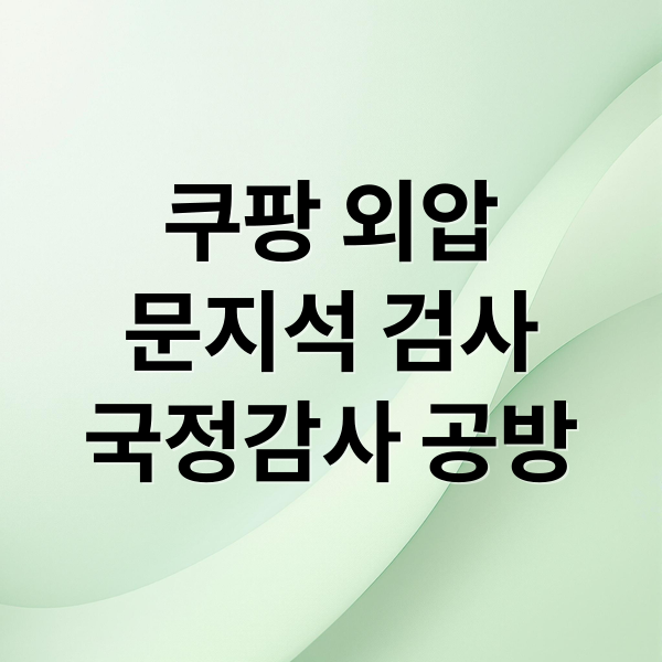 쿠팡 외압
문지석 검사
국정감사 공방 (문지석 검사 쿠팡 퇴직금 외압)