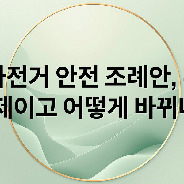 픽시 자전거 안전 조례안, 무엇이 문제이고 어떻게 바뀌나? (픽시 자전거 안전 조례안)
