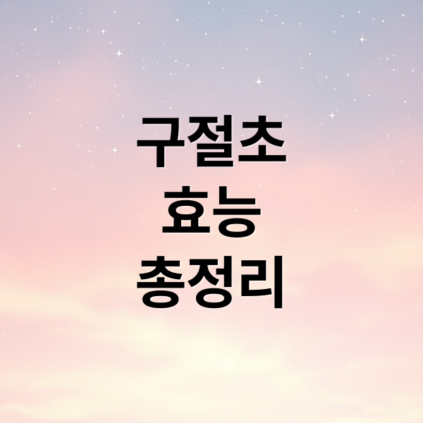 구절초
효능
총정리 (구절초 효능 섭취 방법)