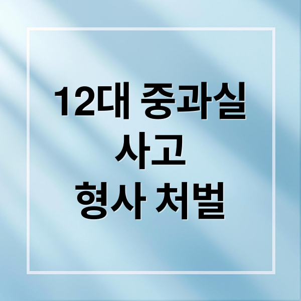 12대 중과실
사고
형사 처벌 (12대 중과실 사고 형사처벌)