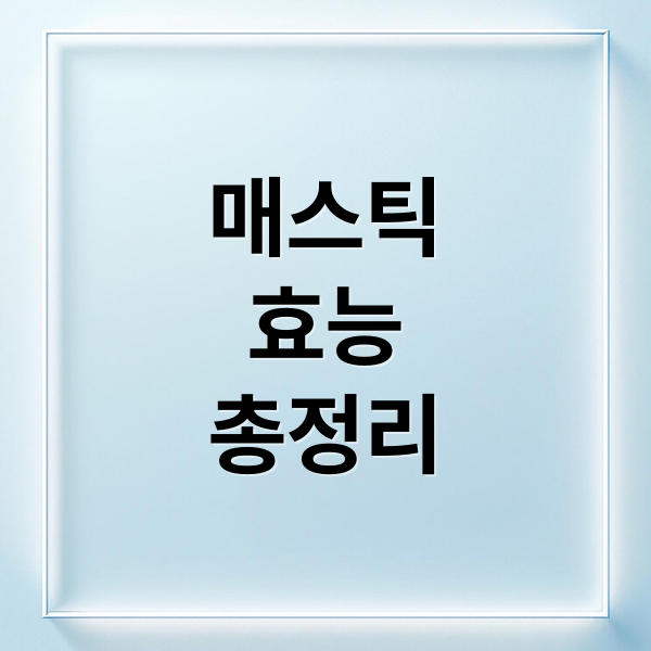 매스틱
효능
총정리 (매스틱 효능)