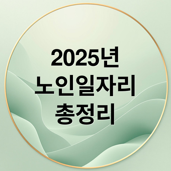 2025년노인일자리총정리 (2025 노인일자리 참여조건)