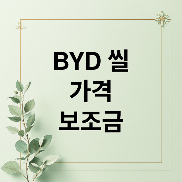 BYD 씰
가격
보조금 (BYD 씰)