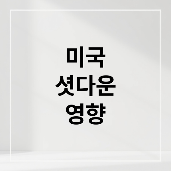 미국 셧다운 영향 (미국 연방정부 셧다운?)