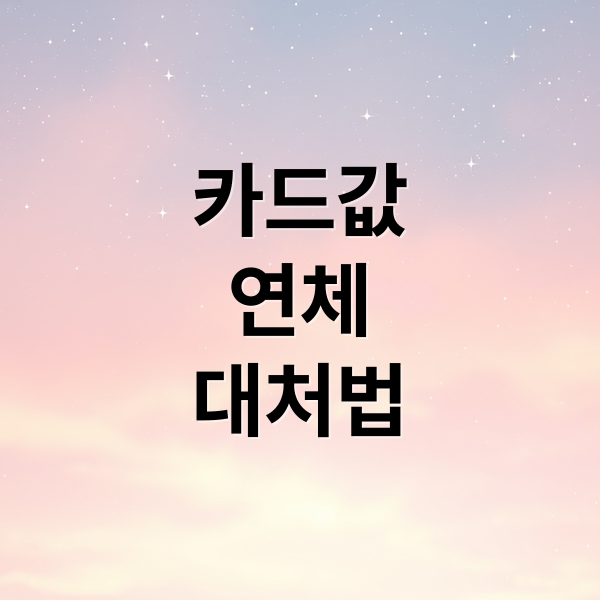 카드값
연체
대처법 (카드값 연체 해결)