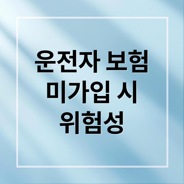 운전자 보험
미가입 시
위험성 (운전자 보험 미가입 사고 리스크)
