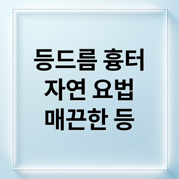 등드름 흉터
자연 요법
매끈한 등 (등드름 흉터 자연요법 홈케어)
