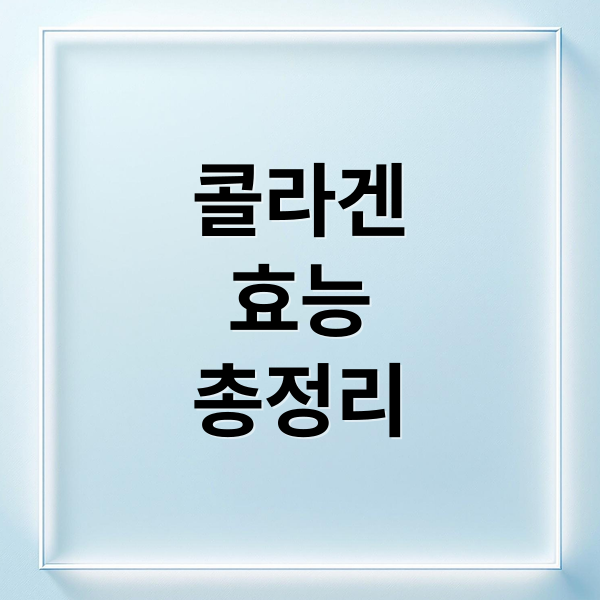 콜라겐
효능
총정리 (콜라겐 효능)