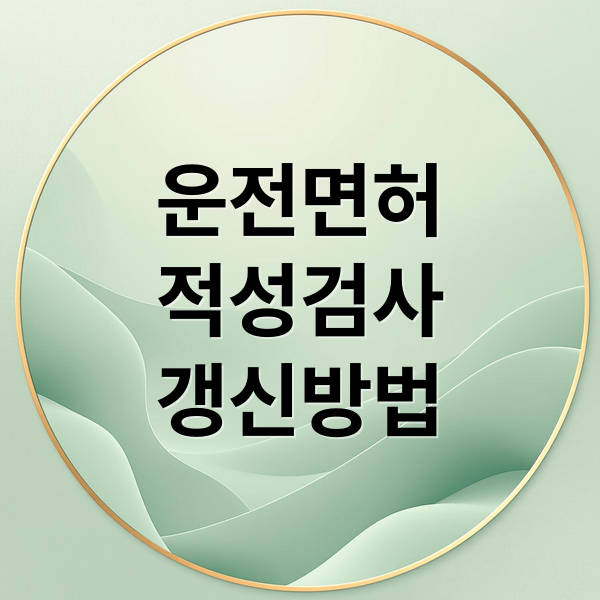 운전면허
적성검사
갱신방법 (운전면허 적성검사 갱신)