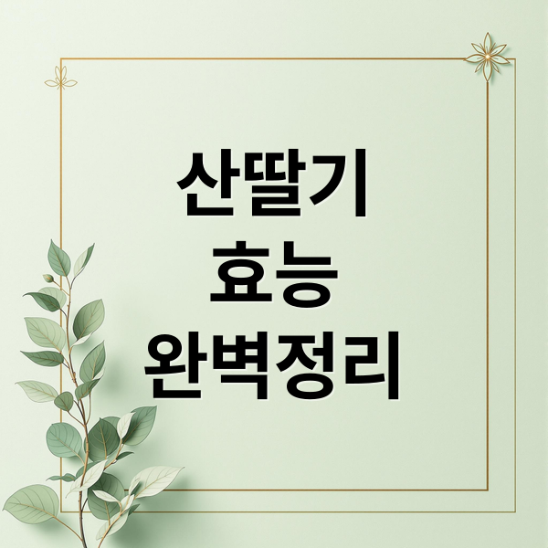 산딸기
효능
완벽정리 (산딸기 효능)