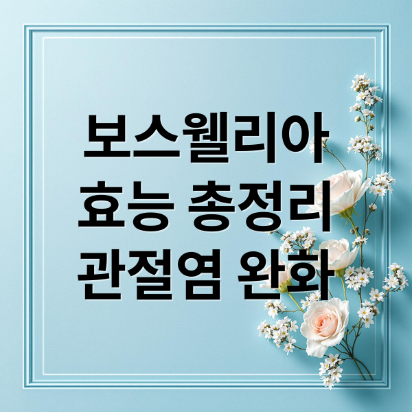보스웰리아
효능 총정리
관절염 완화 (보스웰리아 효능 관절염)