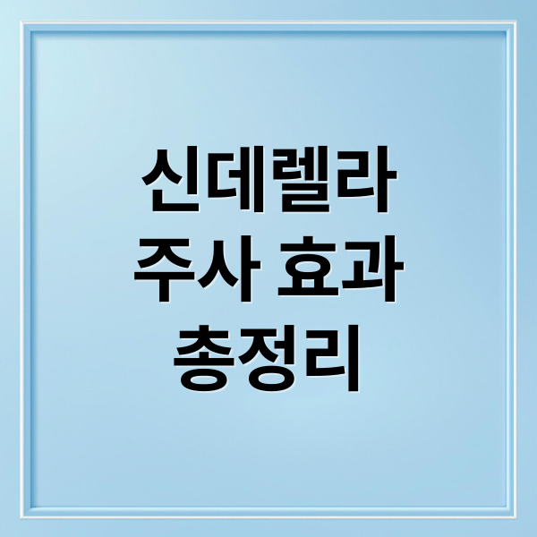 신데렐라
주사 효과
총정리 (신데렐라 주사 효능)