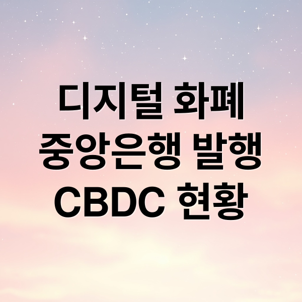 디지털 화폐
중앙은행 발행
CBDC 현황 (CBDC)