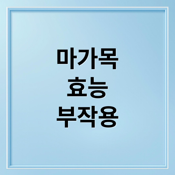 마가목
효능
부작용 (마가목 효능 부작용)