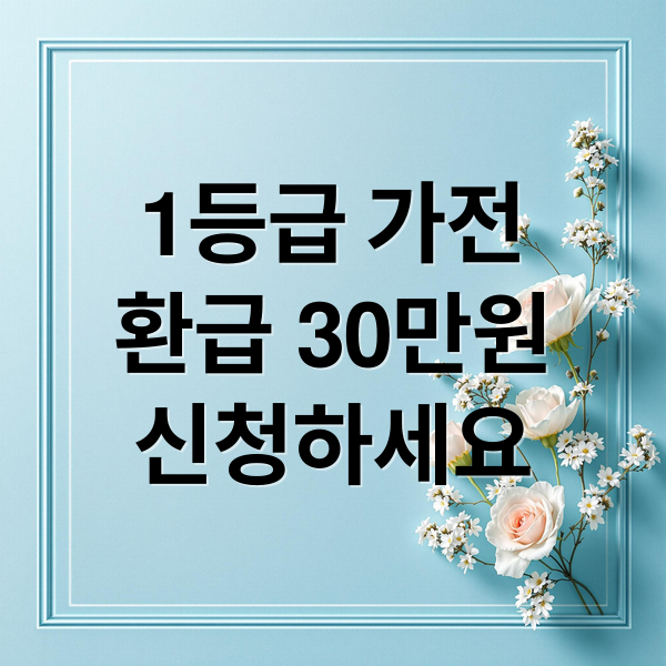 1등급 가전
환급 30만원
신청하세요 (1등급 가전제품 환급 대상 사이트 신청방법)