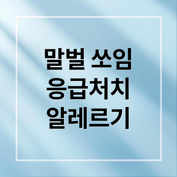 말벌 쏘임
응급처치
알레르기 (말벌에쏘였을때)