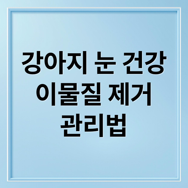 강아지 눈 건강
이물질 제거
관리법 (강아지 눈 이물질 인공눈물 안약)