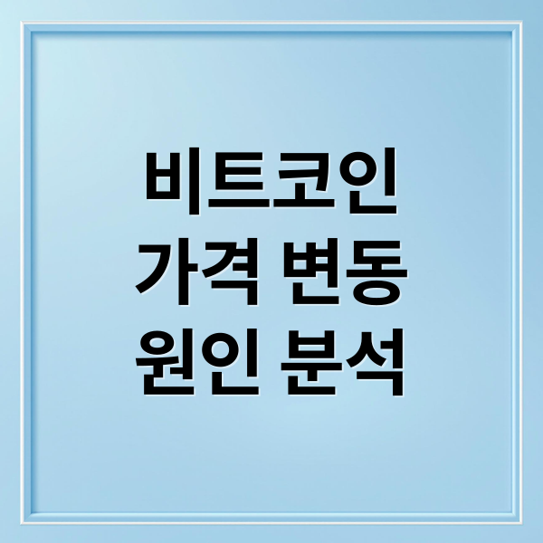 비트코인
가격 변동
원인 분석 (비트코인 전망)