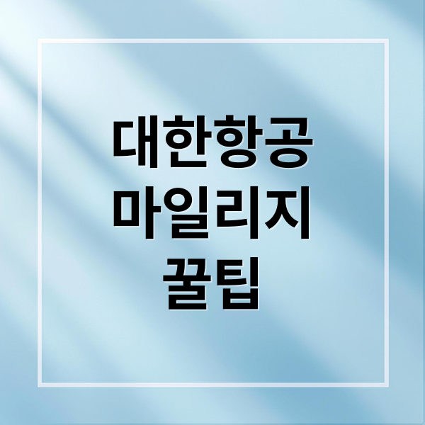 대한항공
마일리지
꿀팁 (대한항공 마일리지 사용방법)