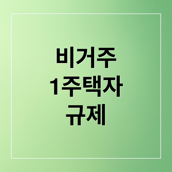 비거주
1주택자
규제 (비거주 1주택 규제)