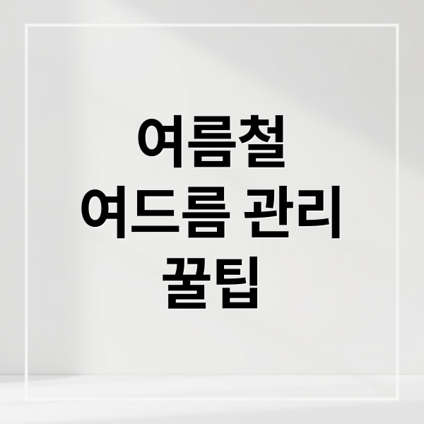 여름철
여드름 관리
꿀팁 (여름철 여드름 관리법)