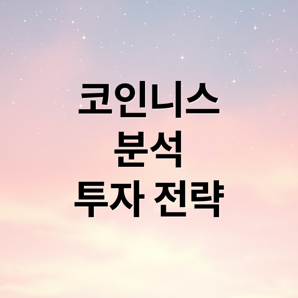 코인니스
분석
투자 전략 (코인니스)