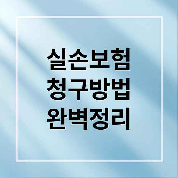 실손보험
청구방법
완벽정리 (실손보험 청구 기간 3년)