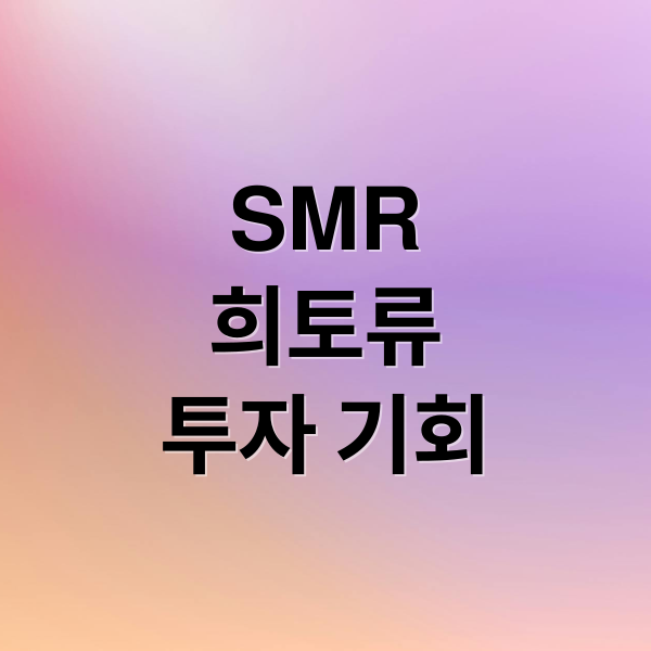 SMR
희토류
투자 기회 (SMR 관련주)