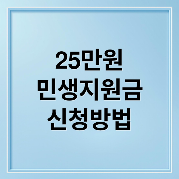 25만원
민생지원금
신청방법 (이재명 25만원 민생지원금)
