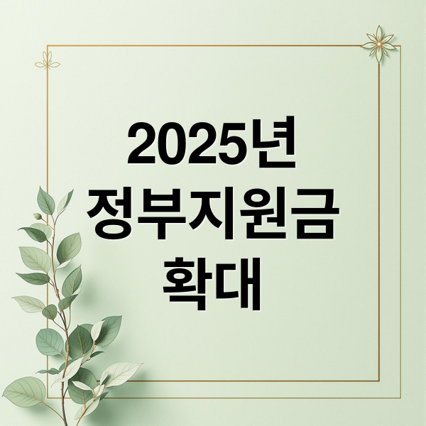 2025년
정부지원금
확대 (정부지원금 최신정보 받아보는 방법)