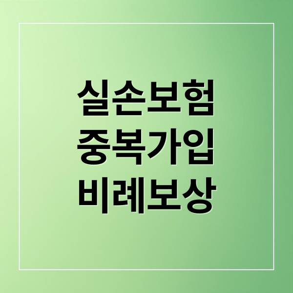 실손보험
중복가입
비례보상 (실손보험 중복보상 비례보상 조회)