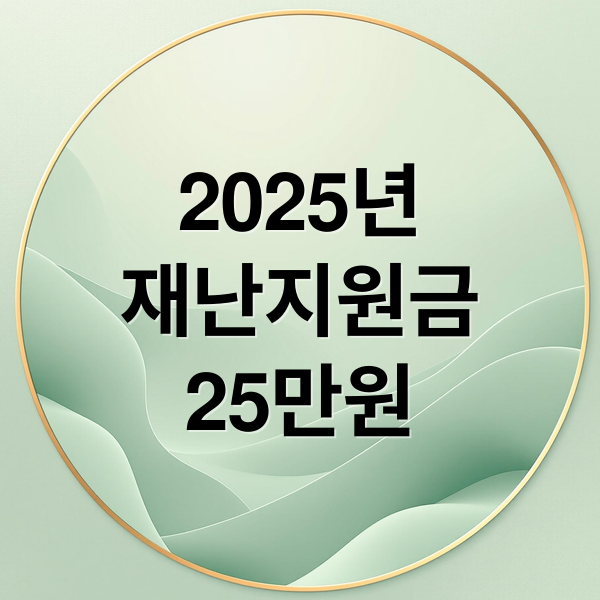 2025년
재난지원금
25만원 (재난지원금)