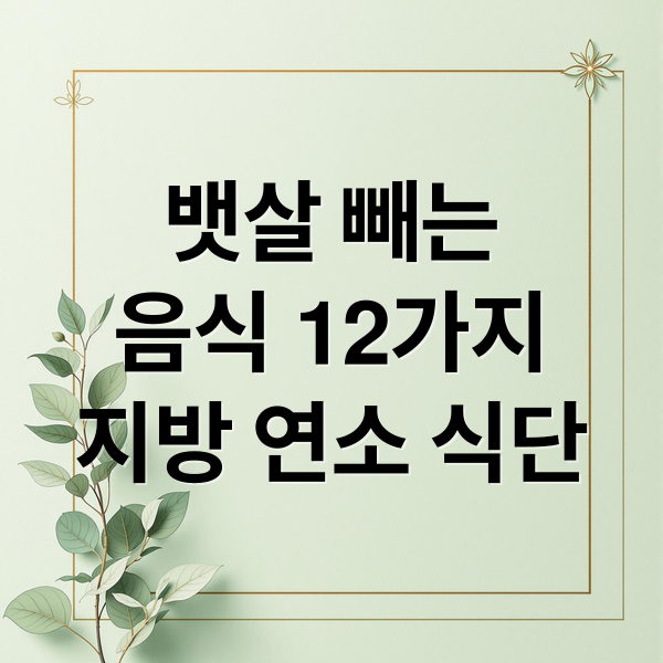 뱃살 빼는
음식 12가지
지방 연소 식단 (뱃살 빼는 음식 12가지)