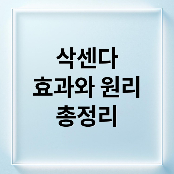 삭센다
효과와 원리
총정리 (삭센다)