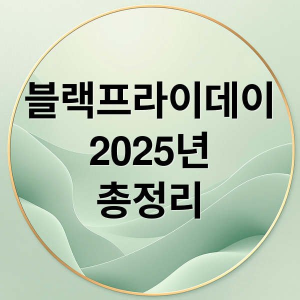 블랙프라이데이
2025년
총정리 (한국 블랙프라이데이)