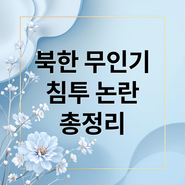 북한 무인기
침투 논란
총정리 (26년 1월 북한이 25년 9월 무인기를 보냈다고 보도를 냈다. 그런데 국방부에서 이를 했을경우 그리고 민간에서 이를 했을 경우 어떤 문제가 발생하는지 알려줘)