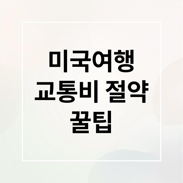 미국여행교통비 절약꿀팁 (미국 여행 교통비 비교)