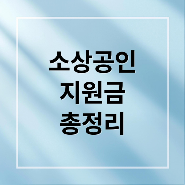 소상공인
지원금
총정리 (소상공인 지원금)