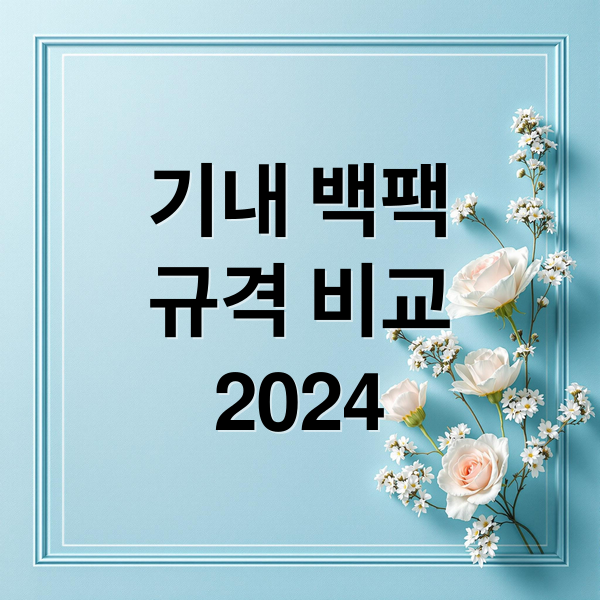 기내 백팩규격 비교2024 (기내 반입 백팩 크기 사이즈)