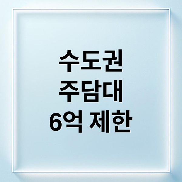 수도권
주담대
6억 제한 (수도권 주택담보대출 한도 6억 규제)