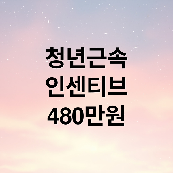 청년근속
인센티브
480만원 (청년근속인센티브)