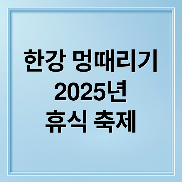 한강 멍때리기
2025년
휴식 축제 (한강 멍때리기 대회)